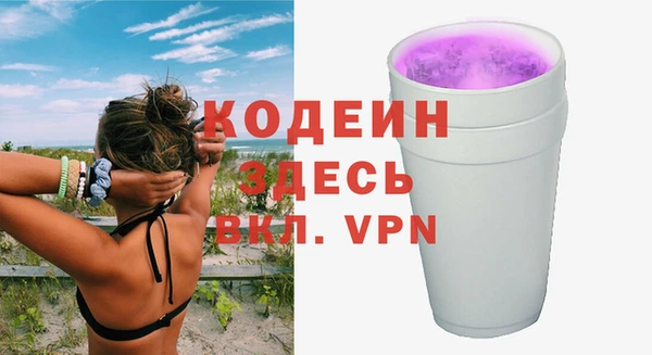 гашик Верея