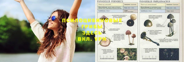 прущий лед Верхний Тагил