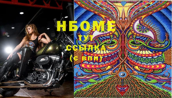 гашик Верея