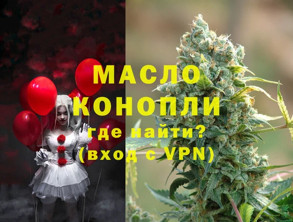 гашик Верея