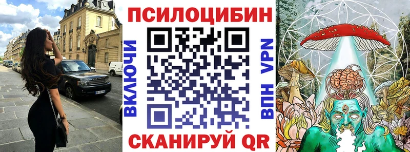 Псилоцибиновые грибы мицелий  Инсар 